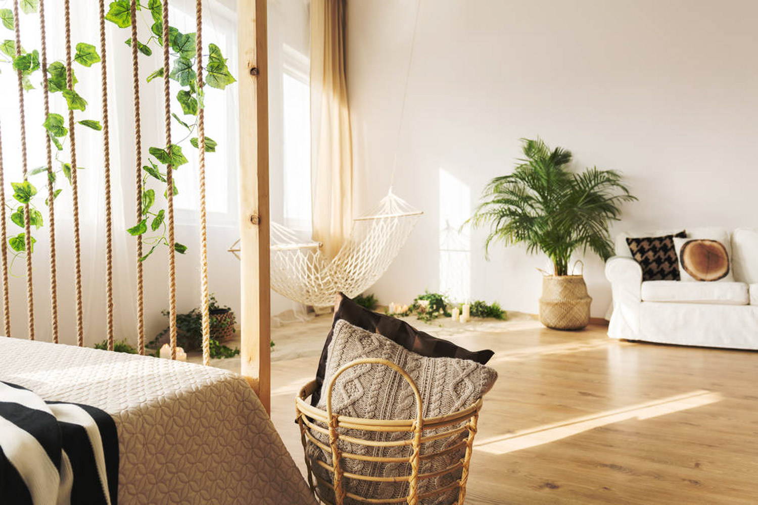 花卉 养花10年不黄叶,只是因为做了这个