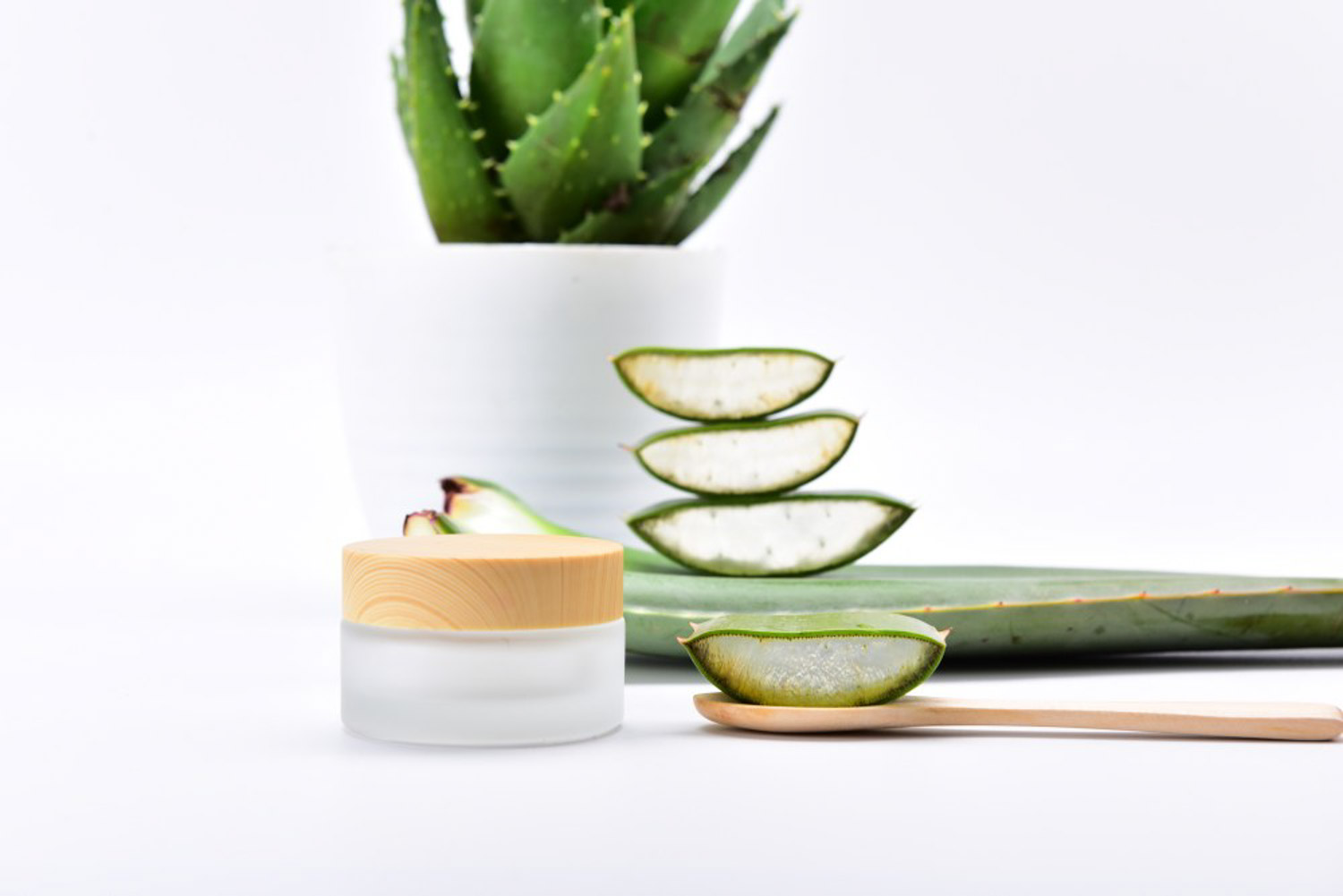 芦荟叶子发黄干瘪了如何办