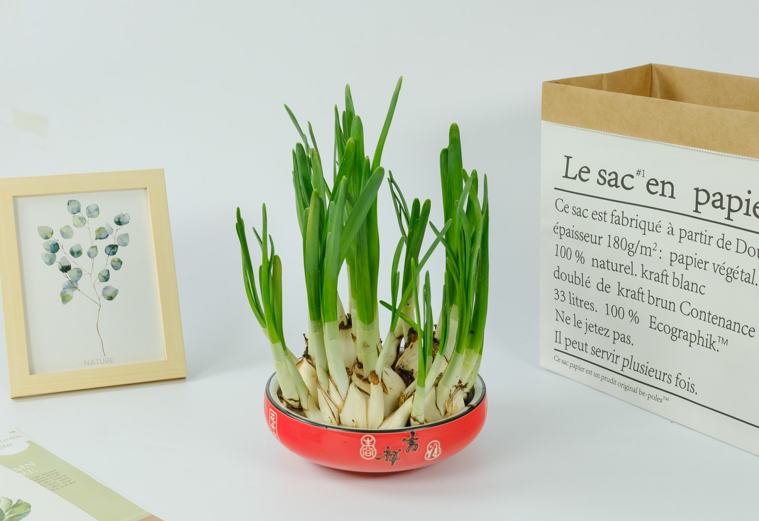 水培的水仙花烂根的原因，如何处理