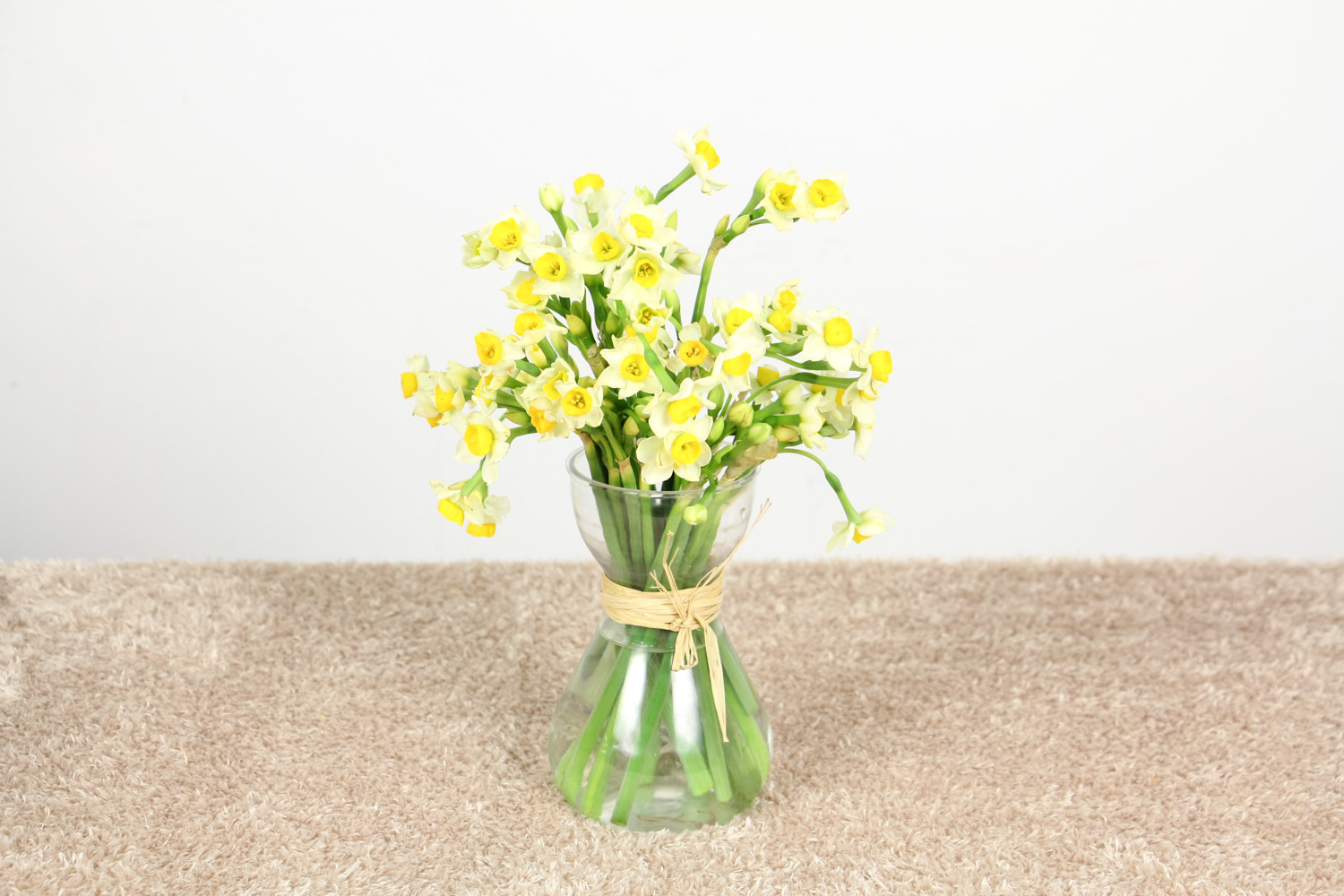 水仙 水仙花烂根如何办