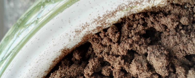 花盆里有蚂蚁如何处理