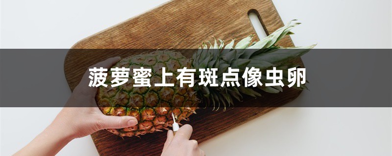 菠萝蜜上有斑点像虫卵如何回事