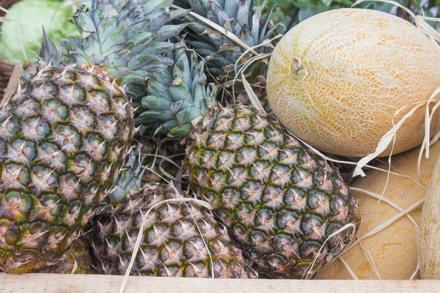 菠萝蜜上有斑点像虫卵如何回事