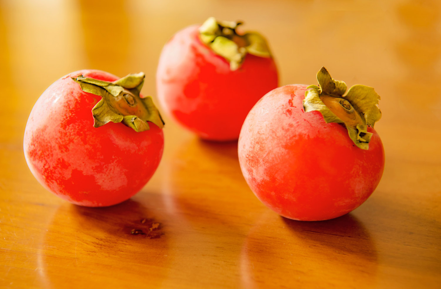 柿子上的白点是什么，如何治疗