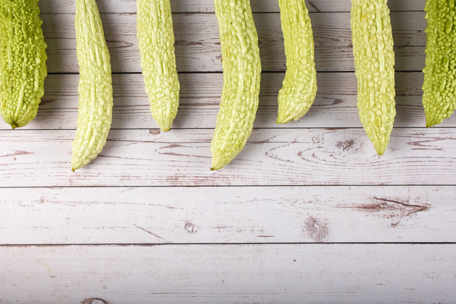 苦瓜的虫害预防和治疗