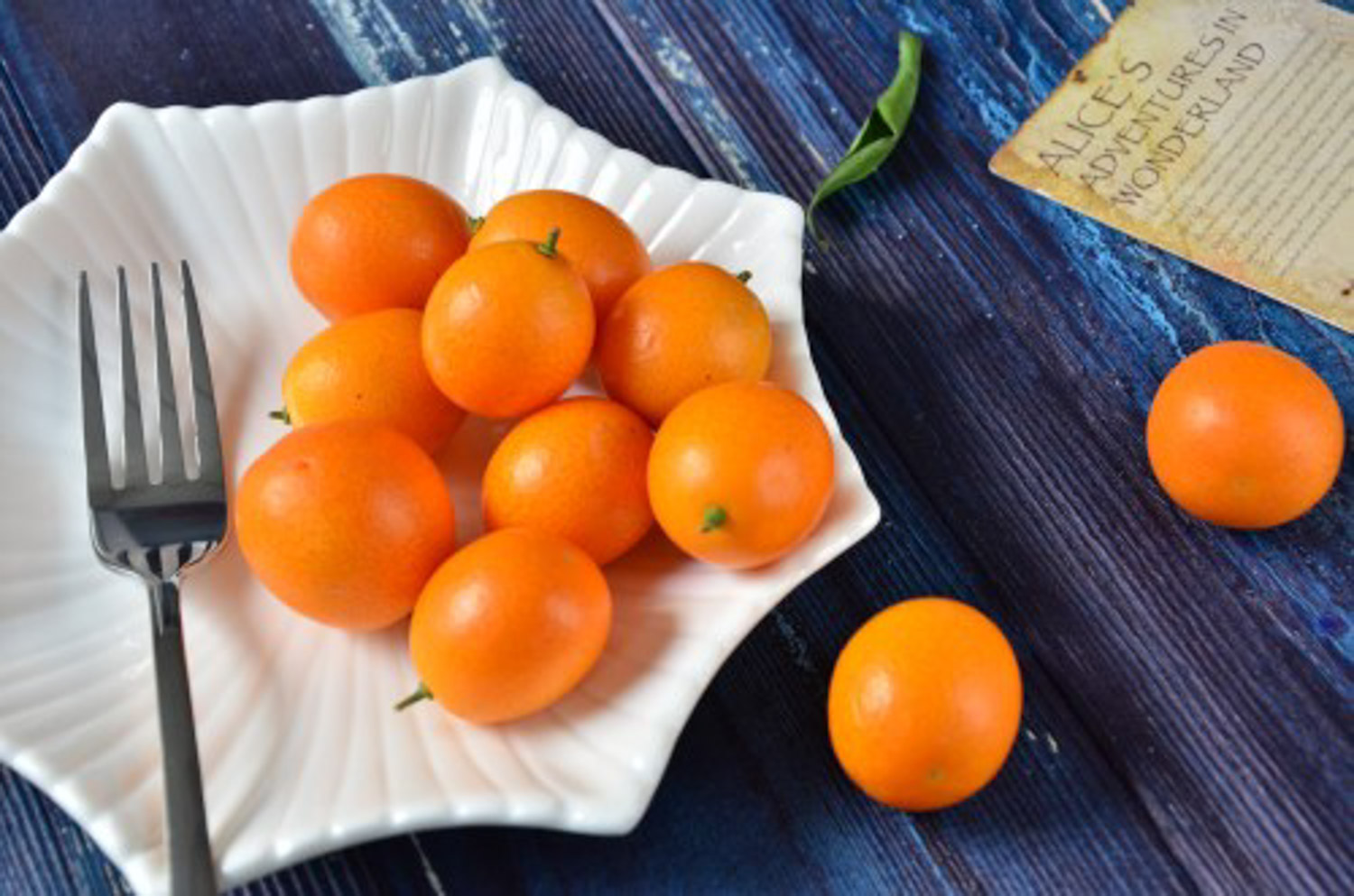 金桔的虫害预防和治疗办法