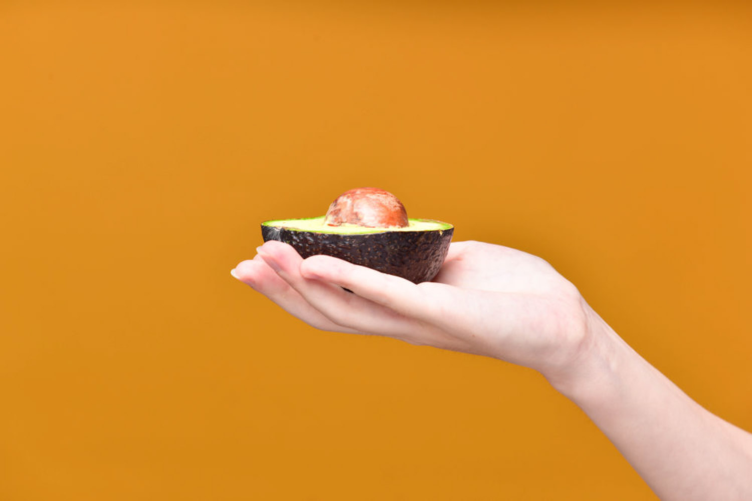 牛油果病虫害预防和治疗，牛油果幼苗病虫害