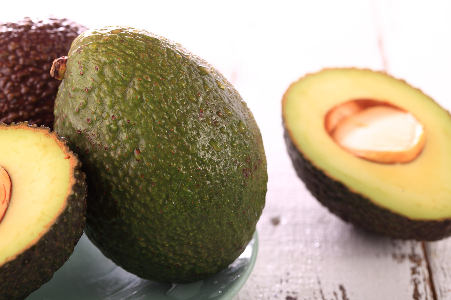 牛油果根腐病如何治，牛油果病害