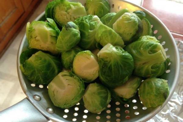 抱子甘蓝的病虫预防和治疗