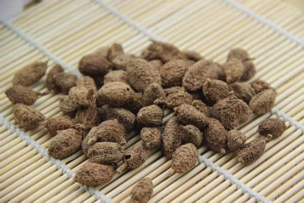 砂仁的病虫害预防和治疗