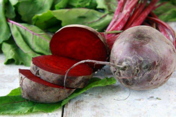 甜菜的病害预防和治疗