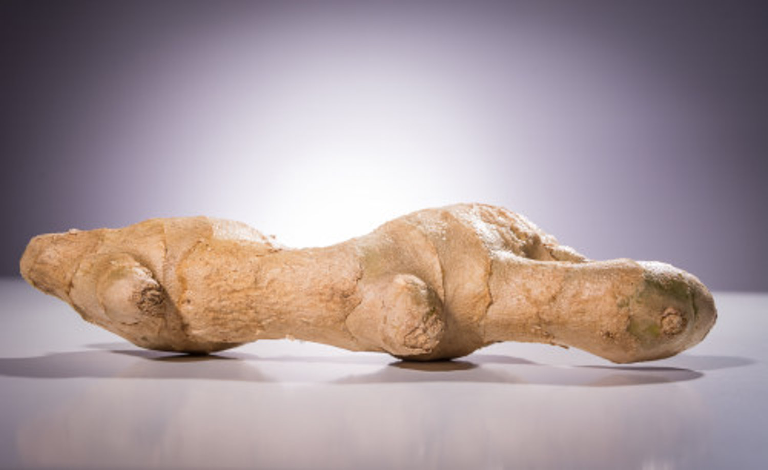 姜的病虫害预防和治疗