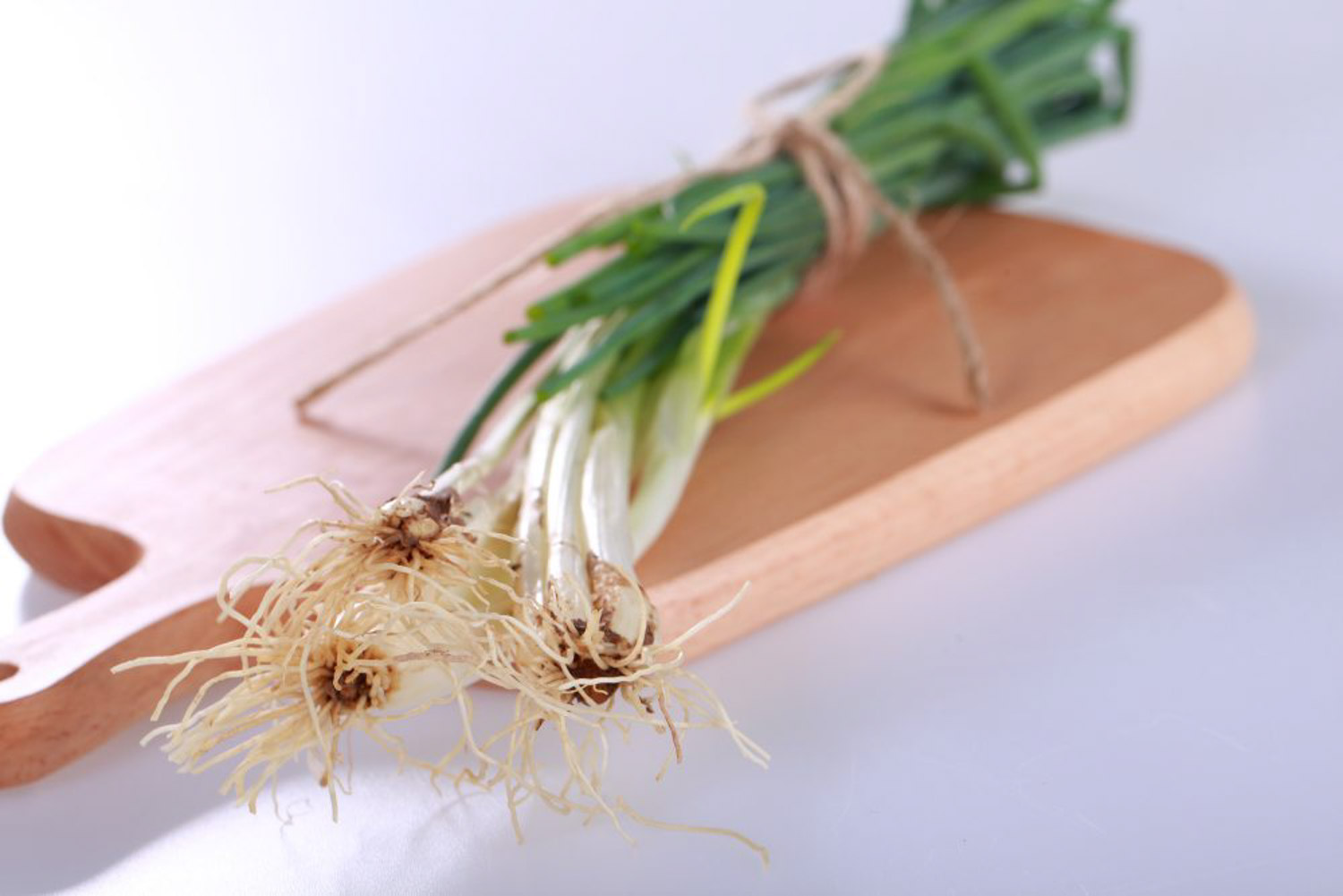 葱的病虫害预防和治疗办法