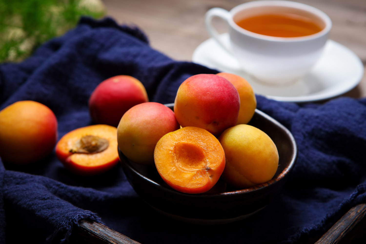 杏树的病虫害及其预防和治疗