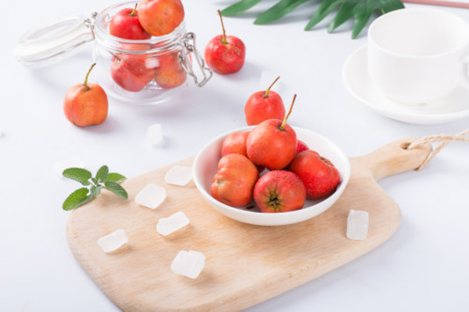 山楂的病虫害预防和治疗