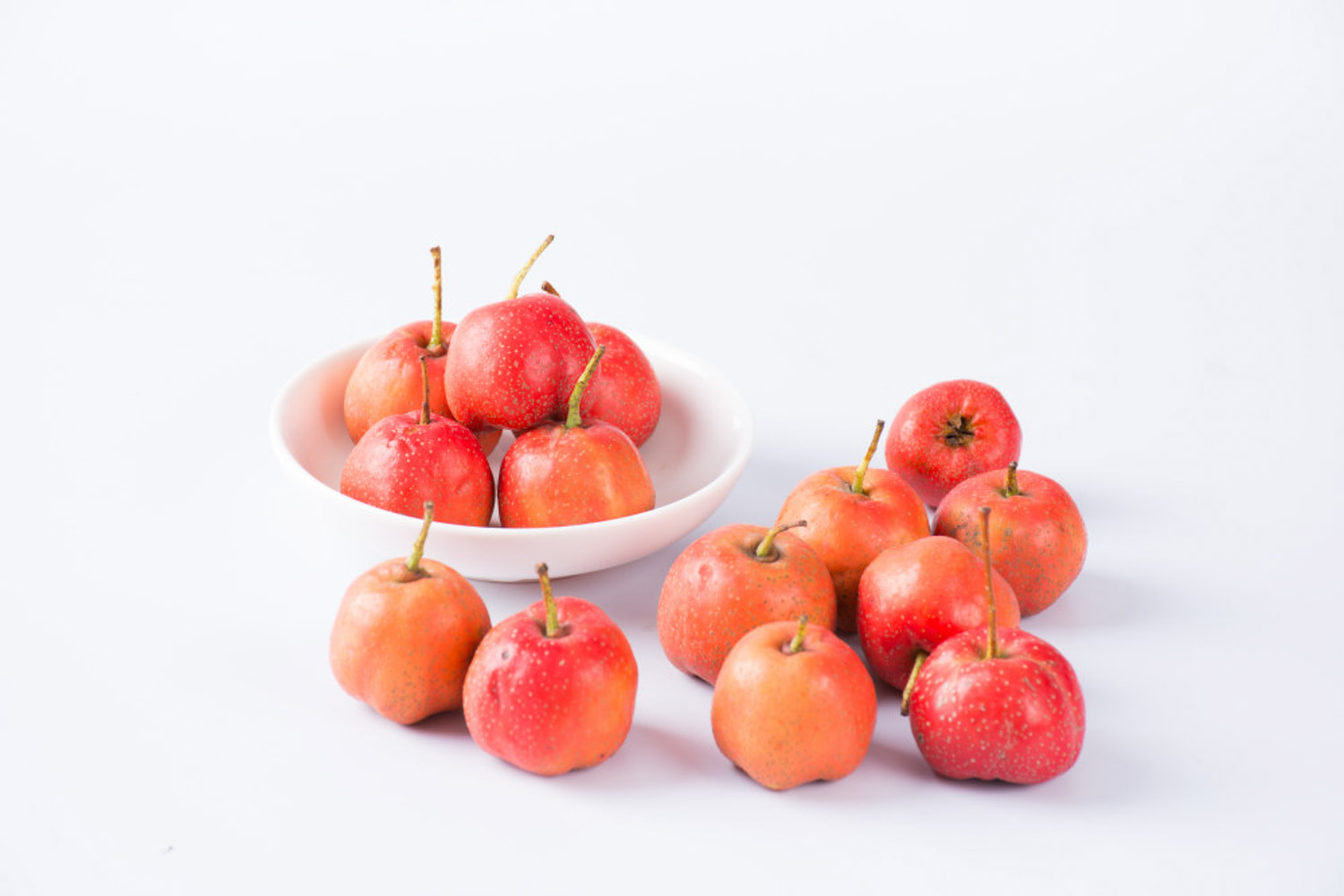 山楂的病虫害预防和治疗