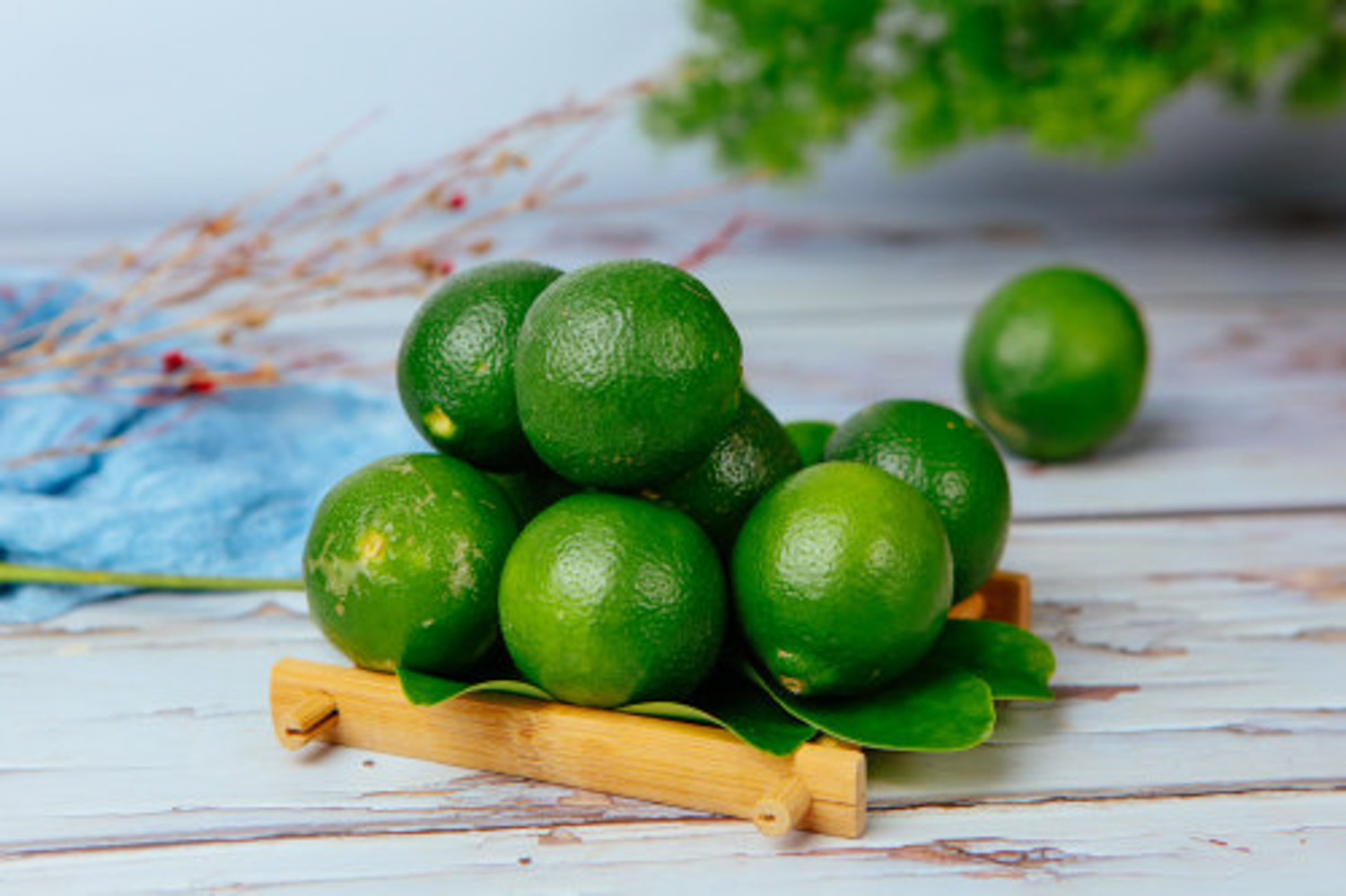 柠檬 柠檬的病害及其预防和治疗