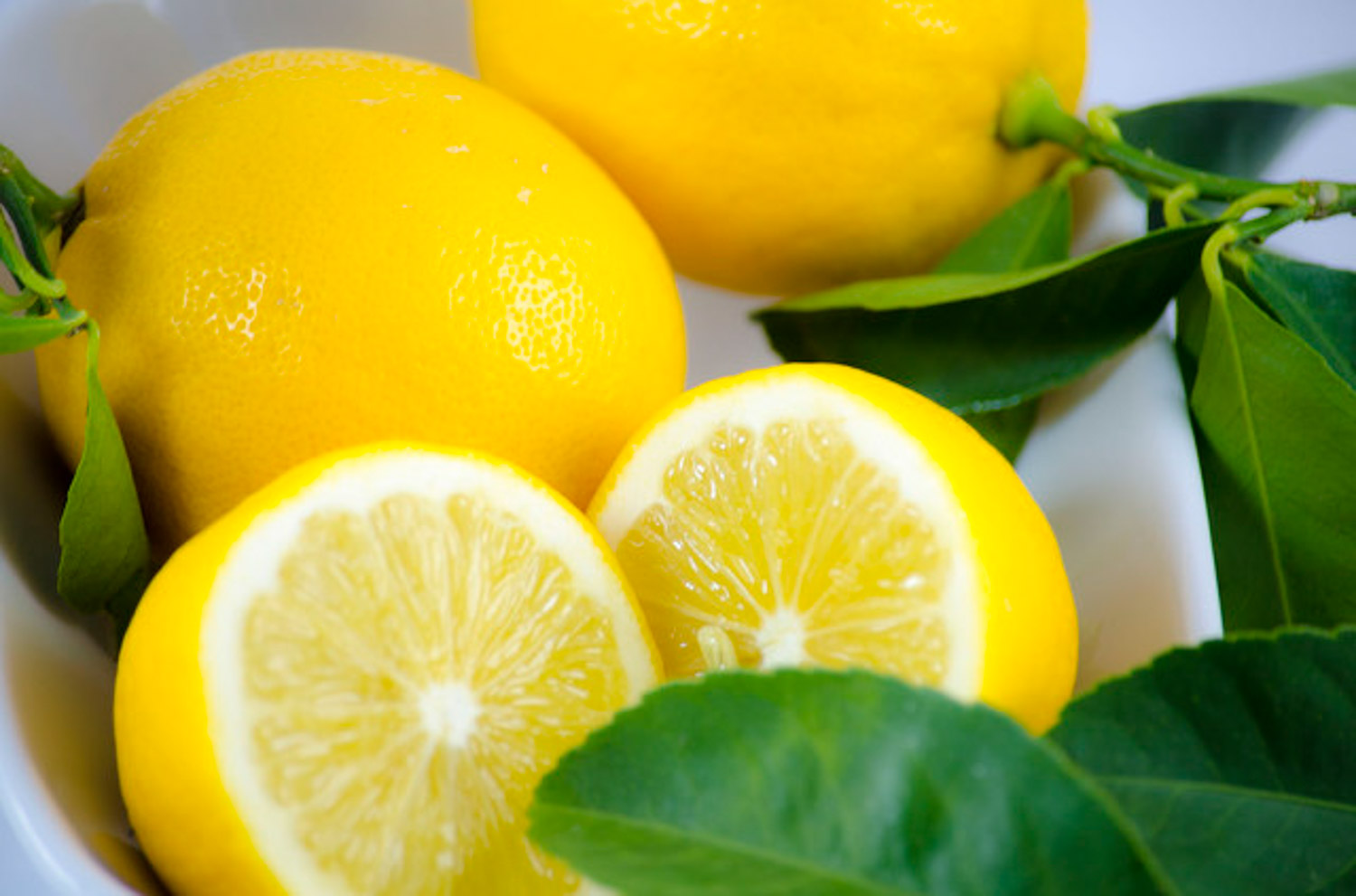 柠檬的病害及其预防和治疗