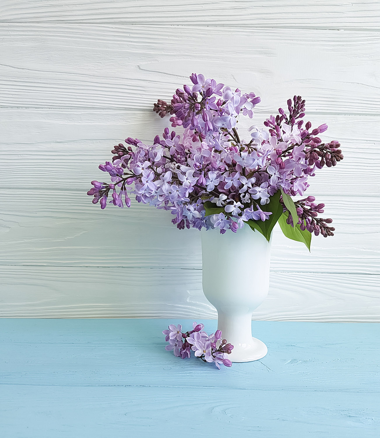 紫薇花如何制作盆景