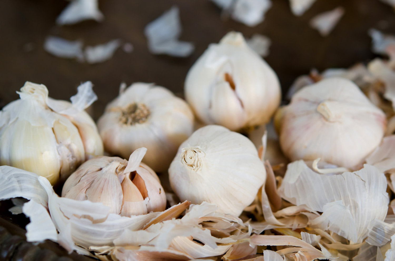 如何制作大蒜盆景