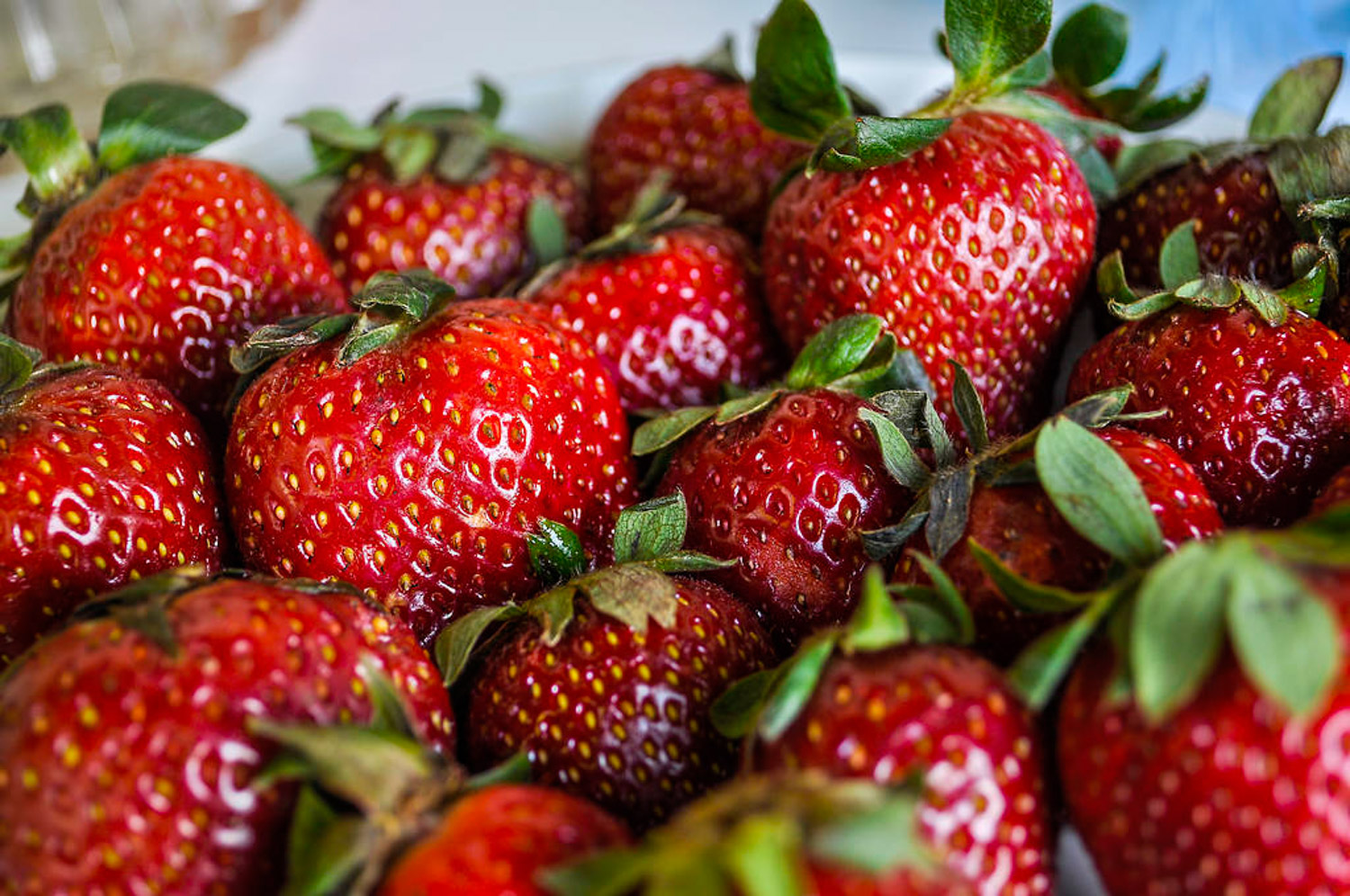 阳台草莓的种植办法