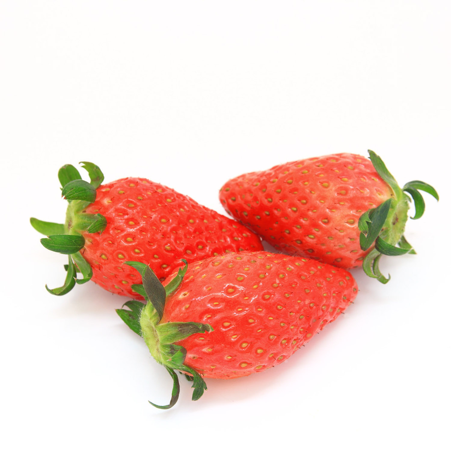 阳台草莓的种植办法