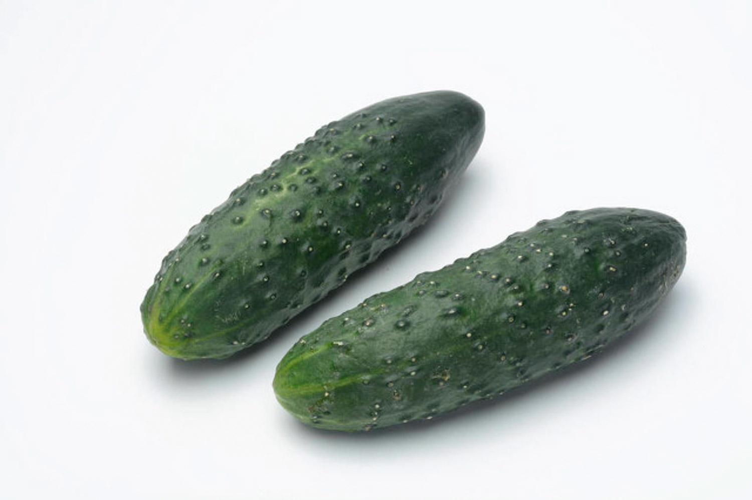 阳台黄瓜的种植办法