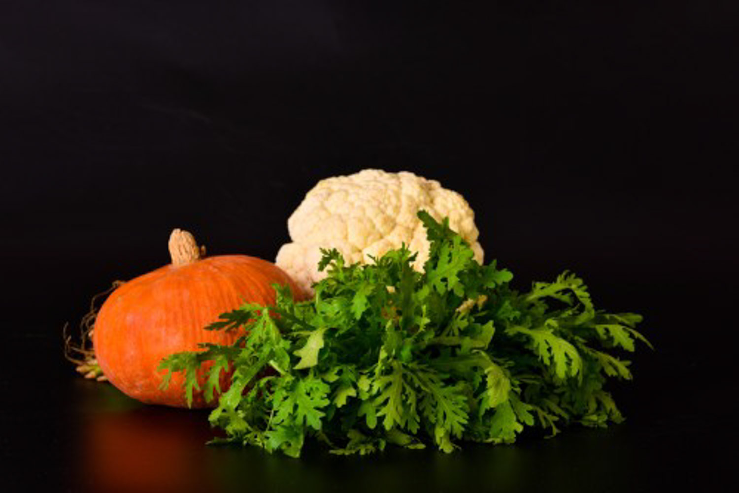 阳台如何种茼蒿