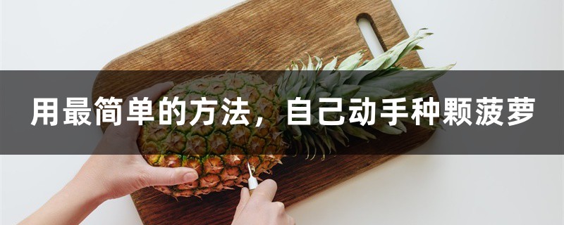 用最简单的办法，自己动手种颗菠萝