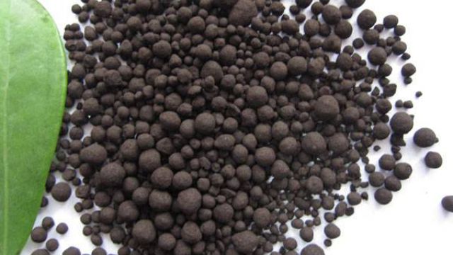 阳台蔬菜如何施肥