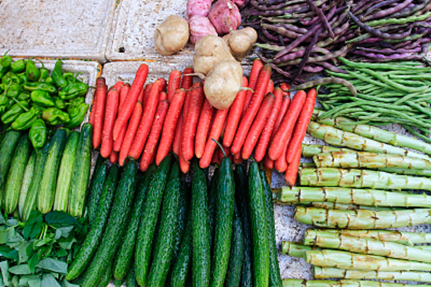 我把这8种菜种进花盆，一个冬季没买菜