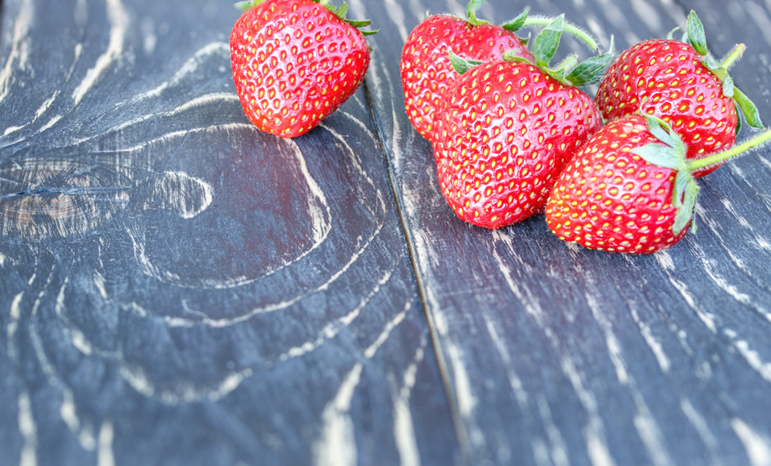 家庭无土栽培草莓如何养