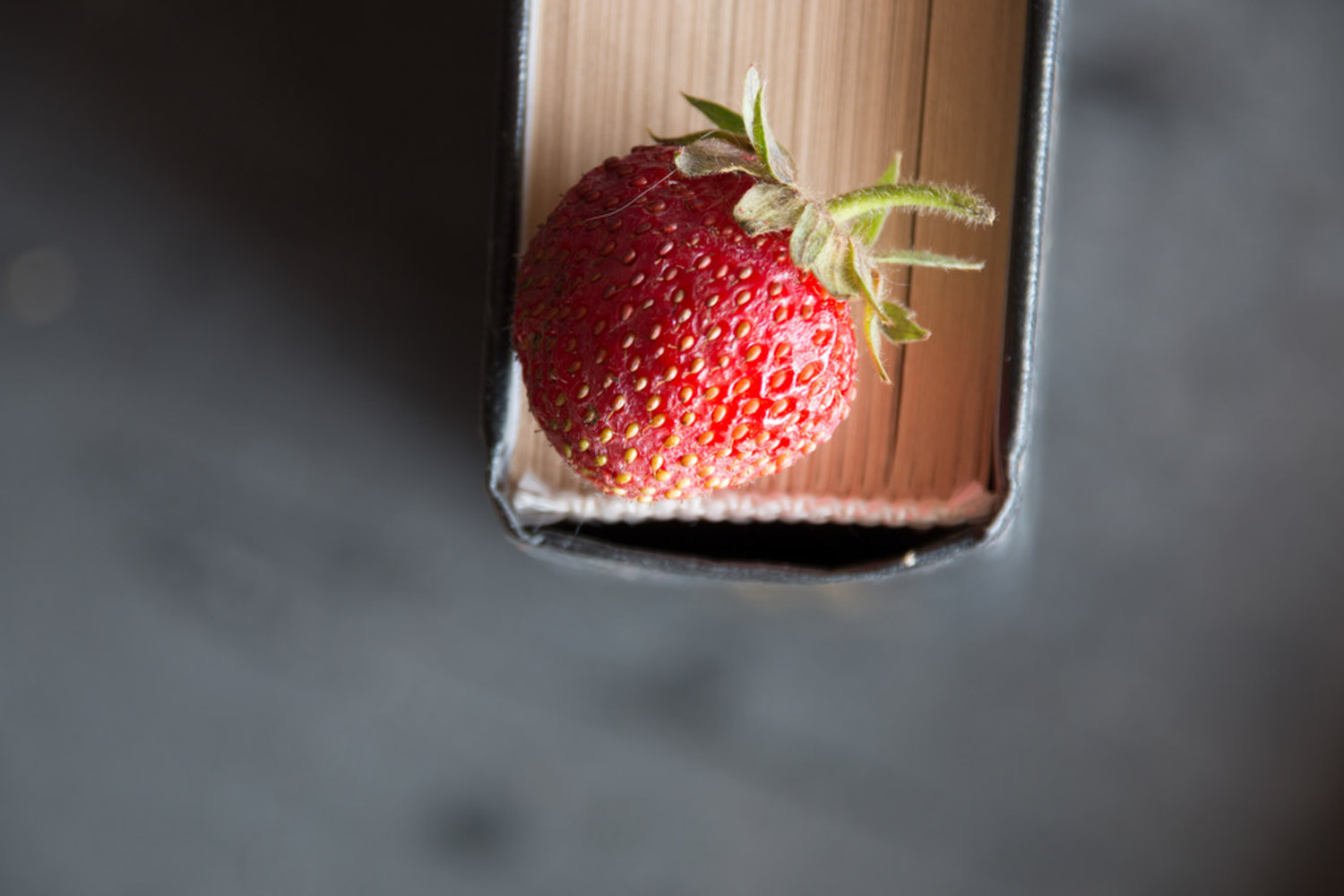 家庭无土栽培草莓如何养