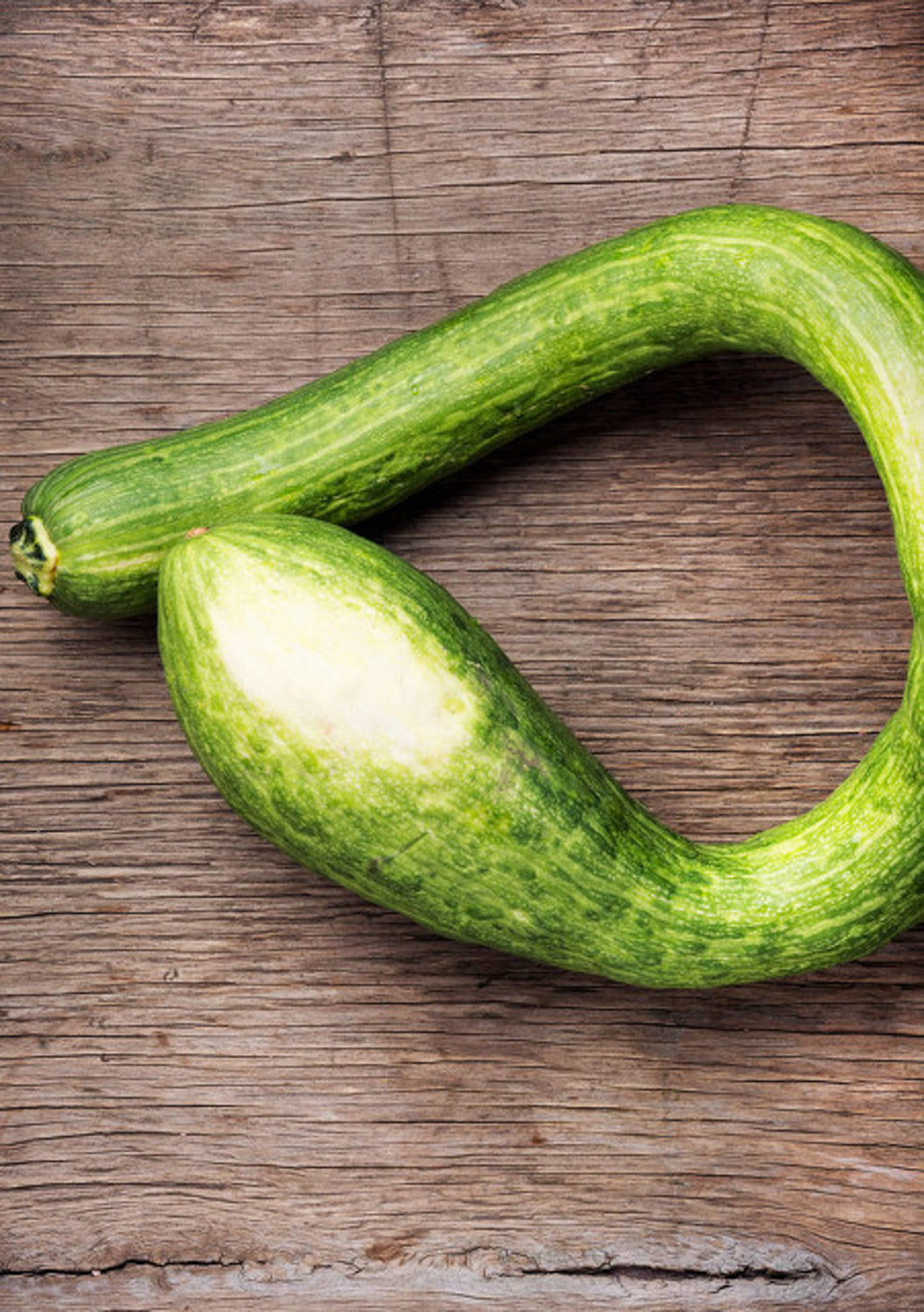 阳台丝瓜的种植办法