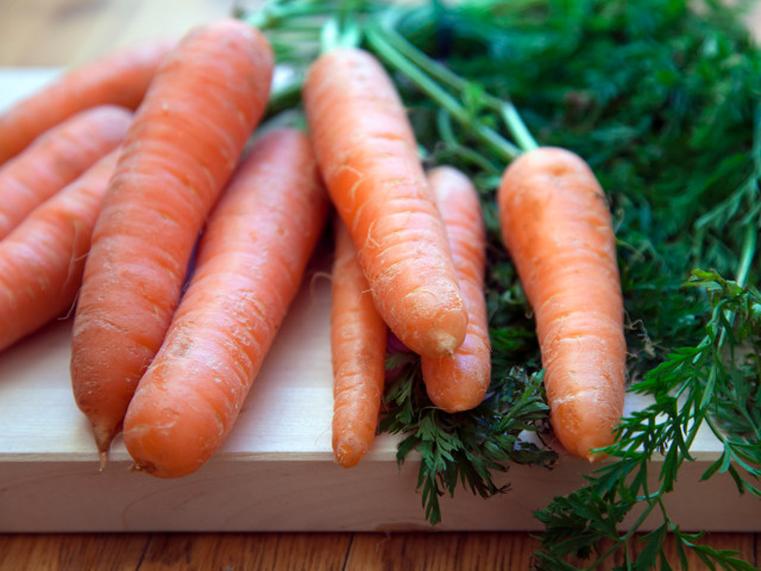 阳台如何种植胡萝卜