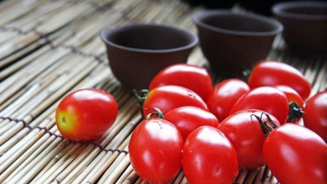 阳台种植圣女果的办法