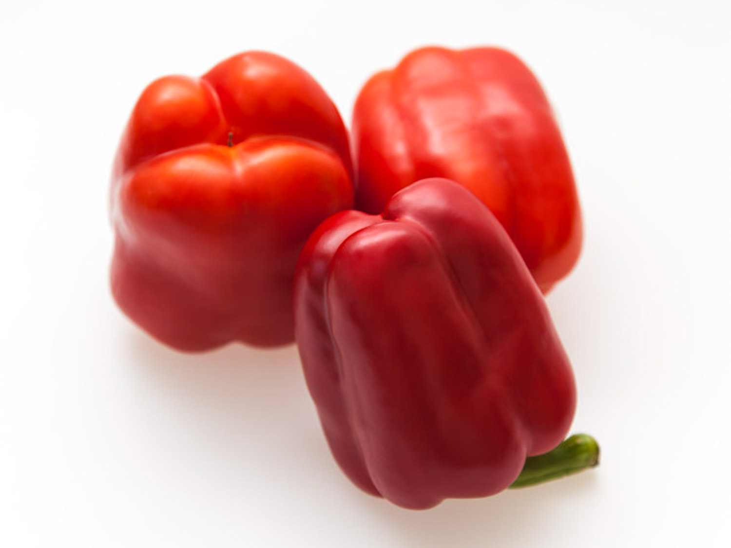 辣椒长蚜虫如何办