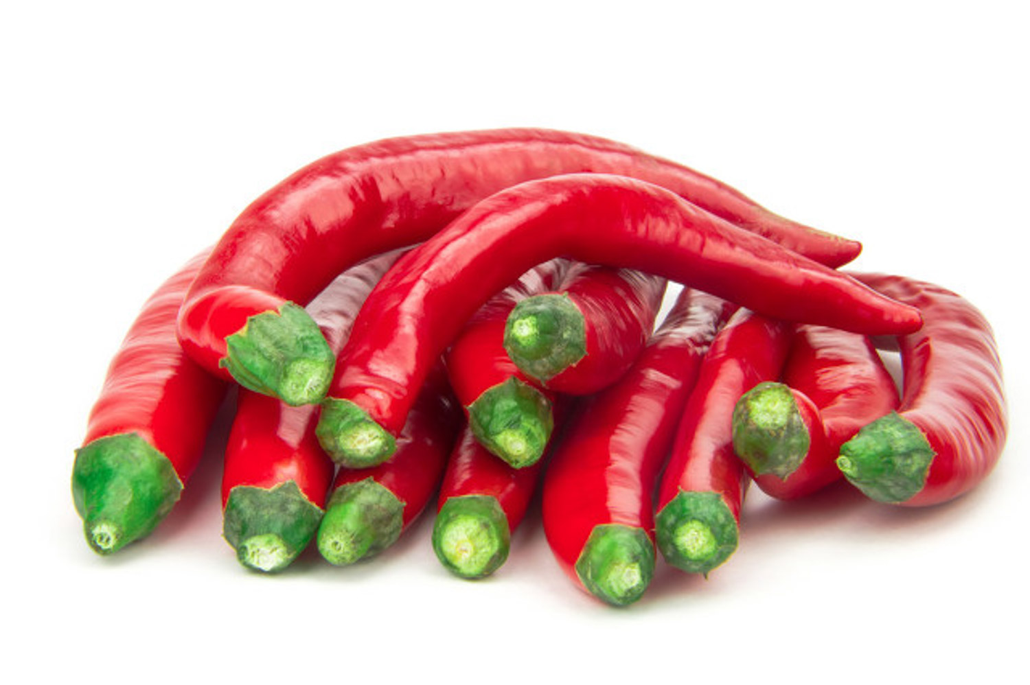 辣椒长蚜虫如何办