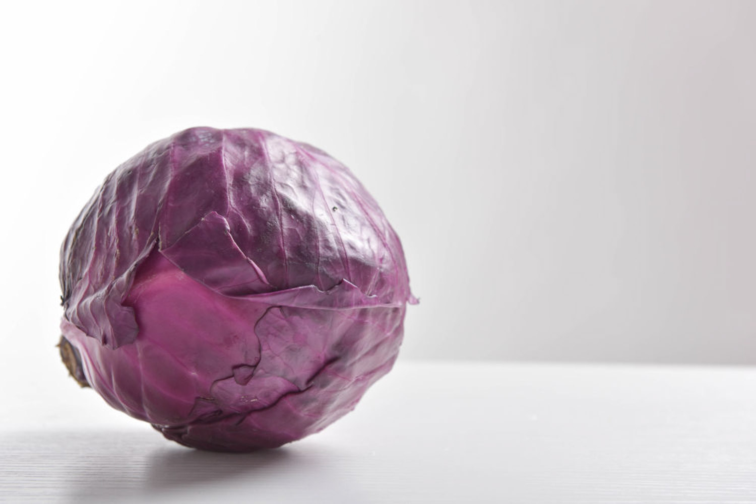 阳台种植甘蓝的办法