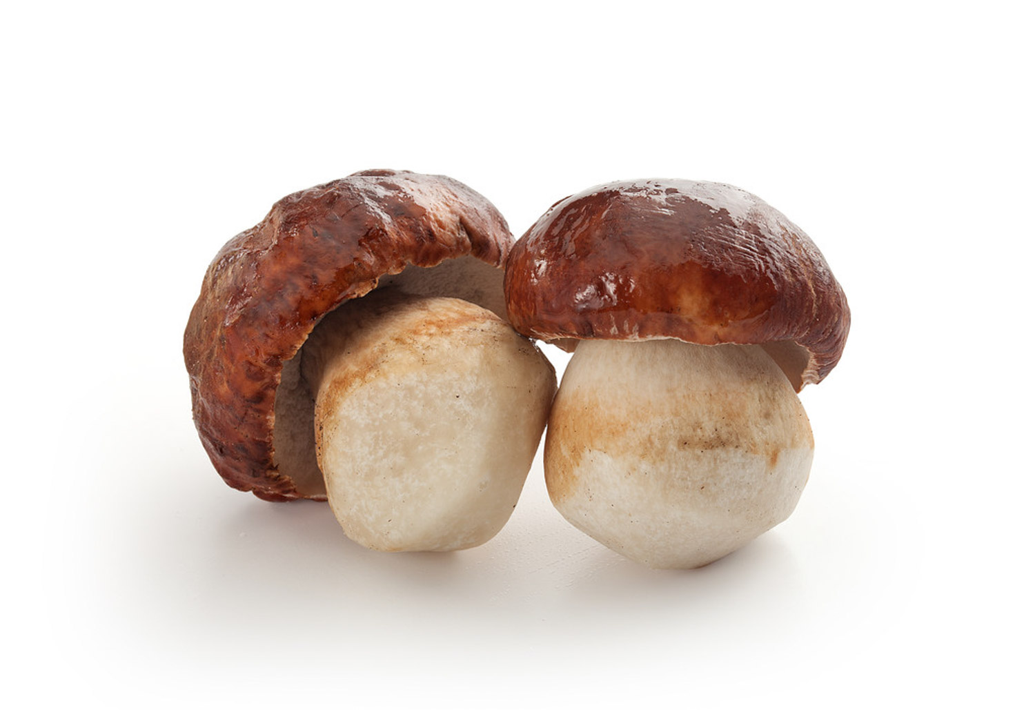 阳台种植蘑菇的办法