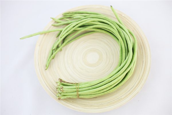 豇豆的阳台种植办法