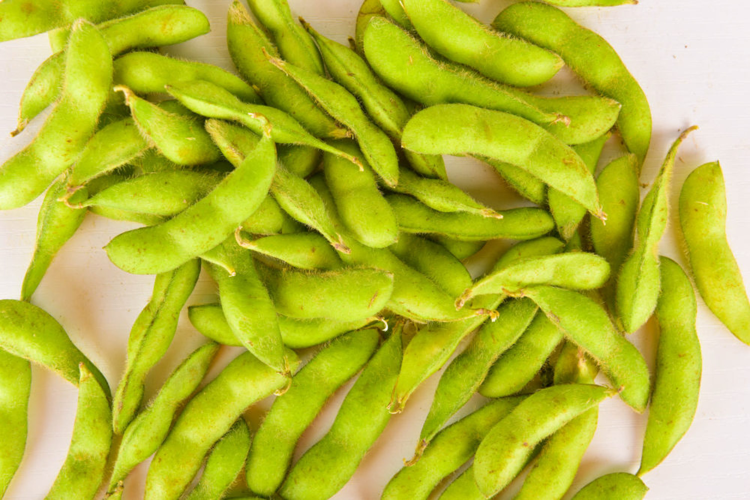 阳台如何盆栽毛豆？