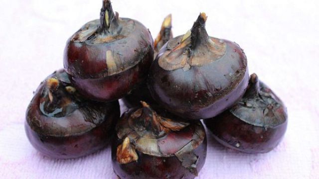 阳台如何种植荸荠