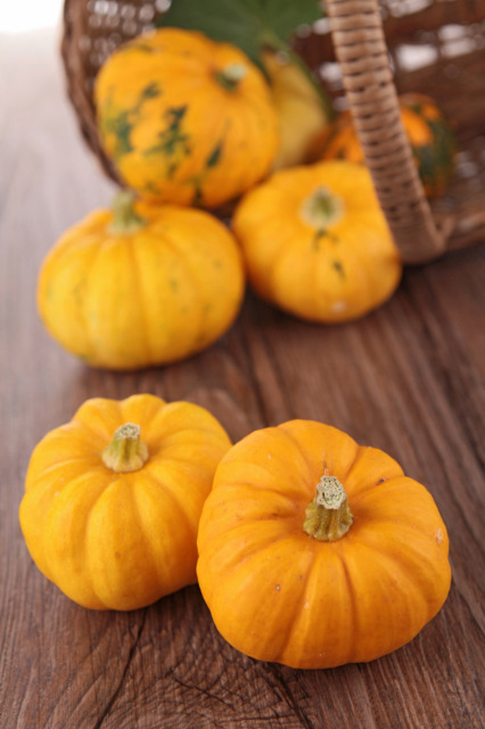 南瓜 阳台如何种植南瓜