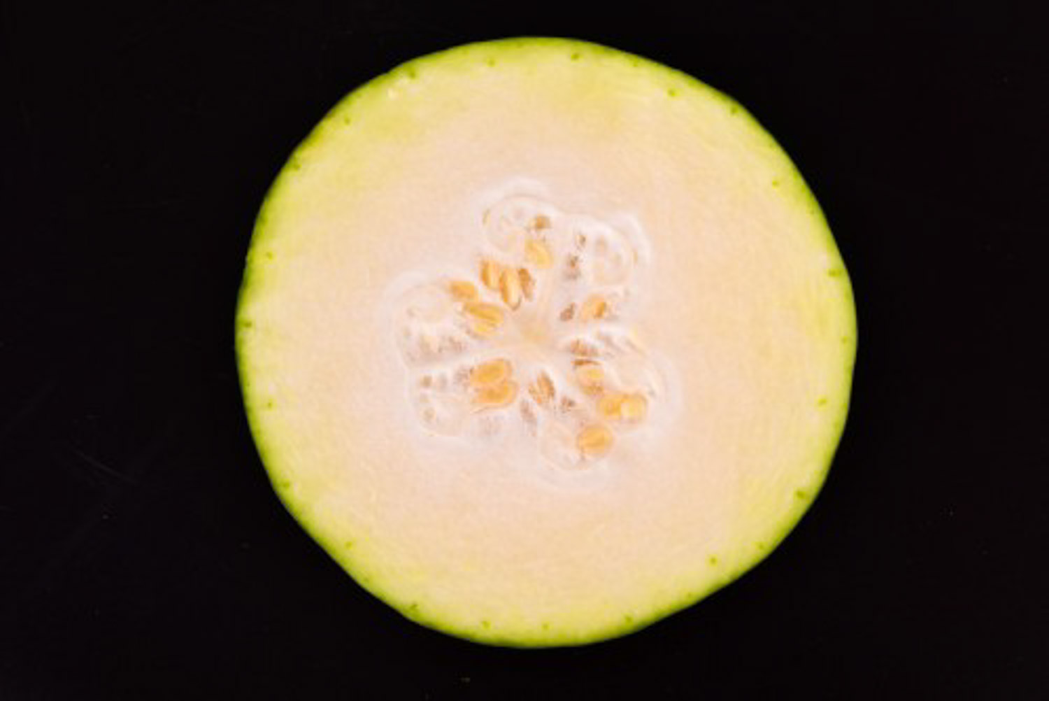 冬瓜的盆栽种植办法