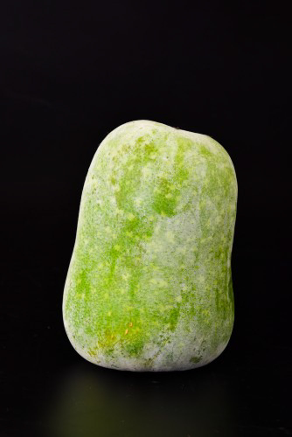 冬瓜的盆栽种植办法