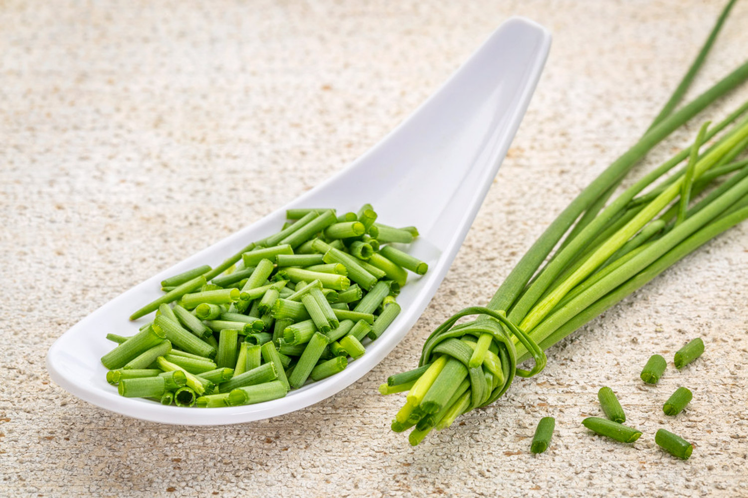 小葱的种植办法与时间