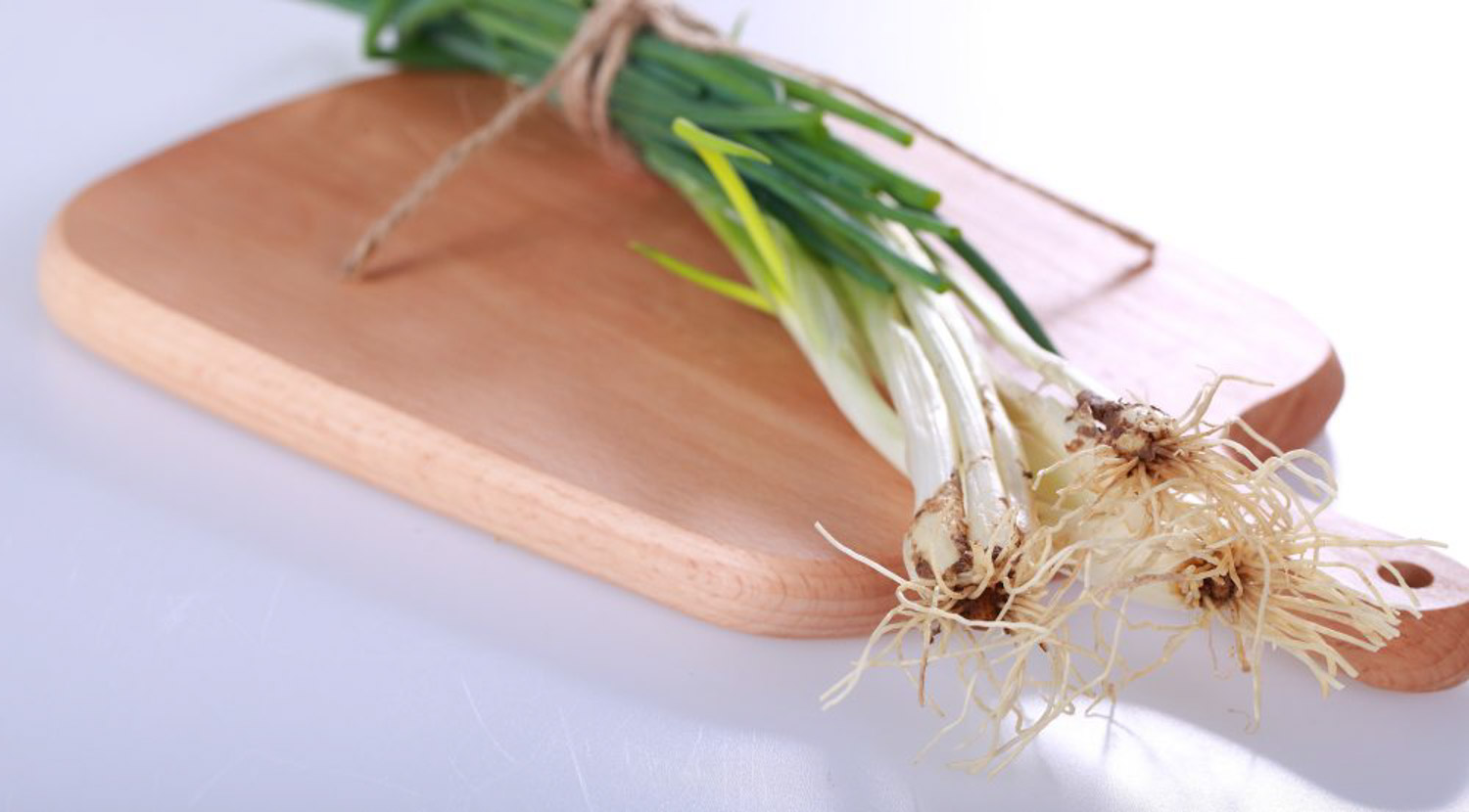 小葱的种植办法与时间