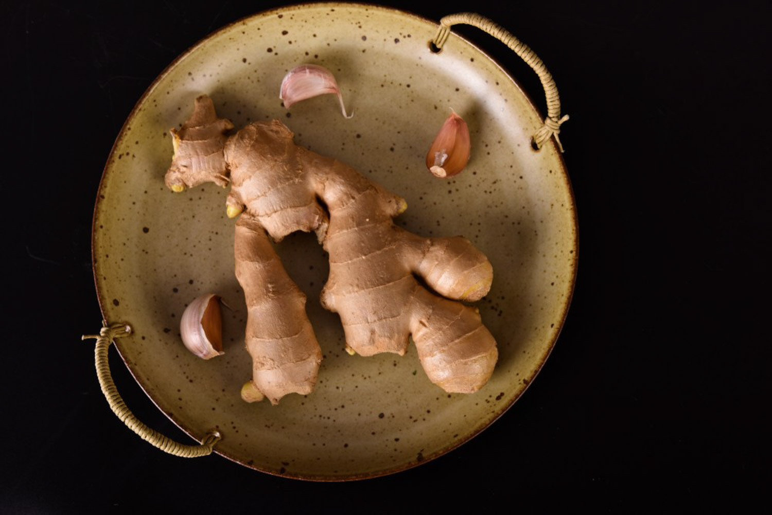 姜 “姜”发芽可别扔,埋在土里,3个月长出“鲜姜”,一冬季不用买!