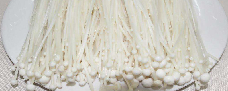 金针菇根部如何再发芽（再次生长小妙招）